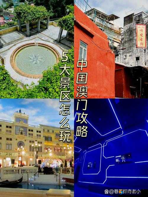 一入澳门深似海，探索赌城魅力与文化的无限可能