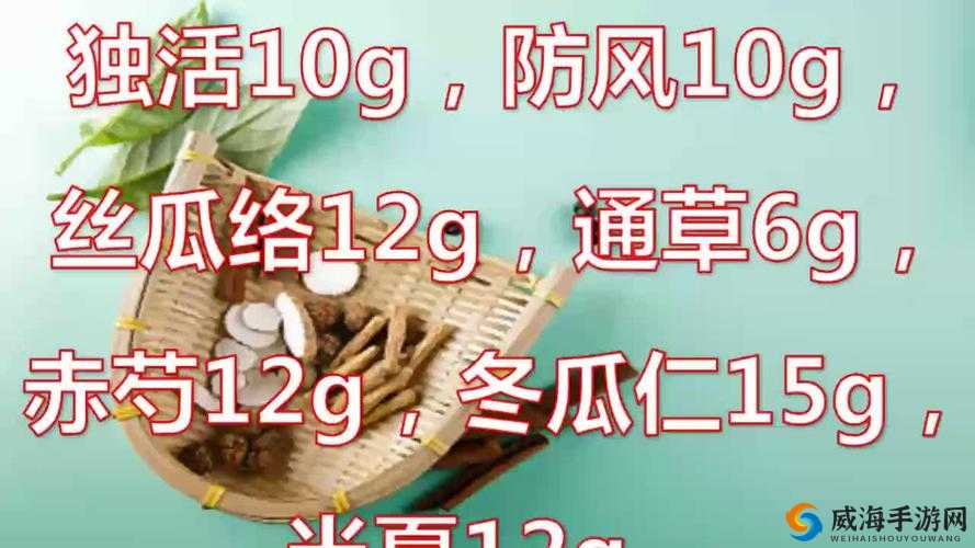 丝瓜视频苹果版下载安装教程：最新版本快速获取与使用指南