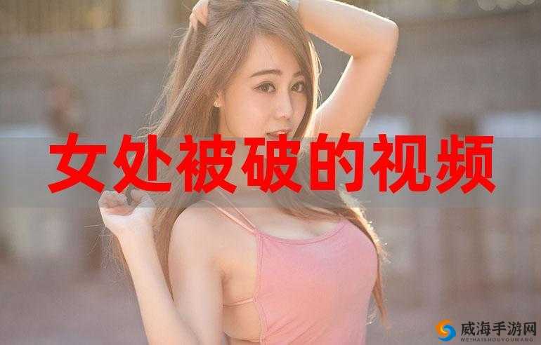 三级破外破学生处视频大全：全面解析学生处管理技巧与案例分析