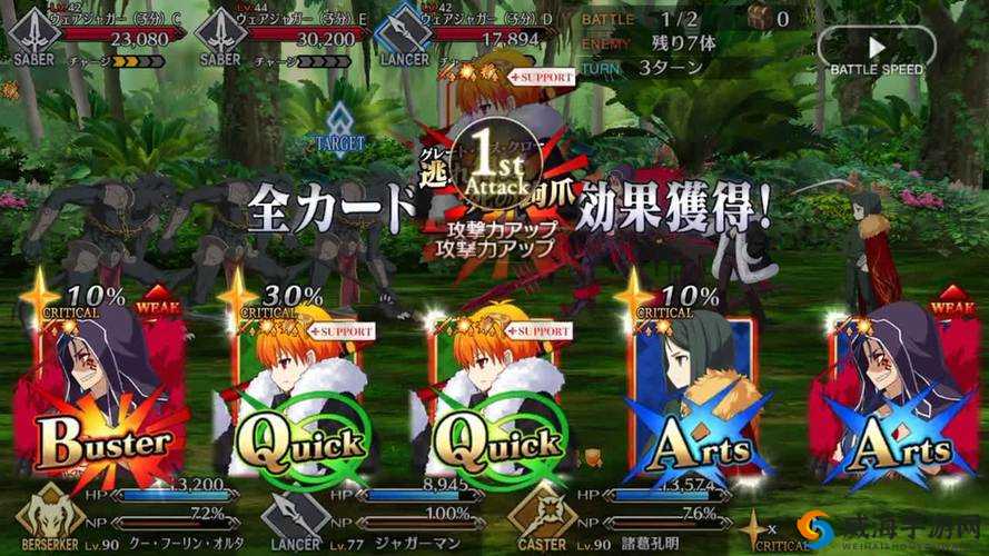 FGO豹人怎么样 老虎藤村大河满破技能宝具图鉴