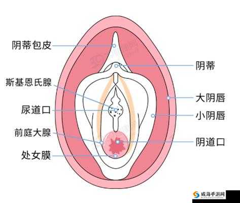 如何判断一个女生是不是处女？破除处 女膜的全过程是怎样的？
