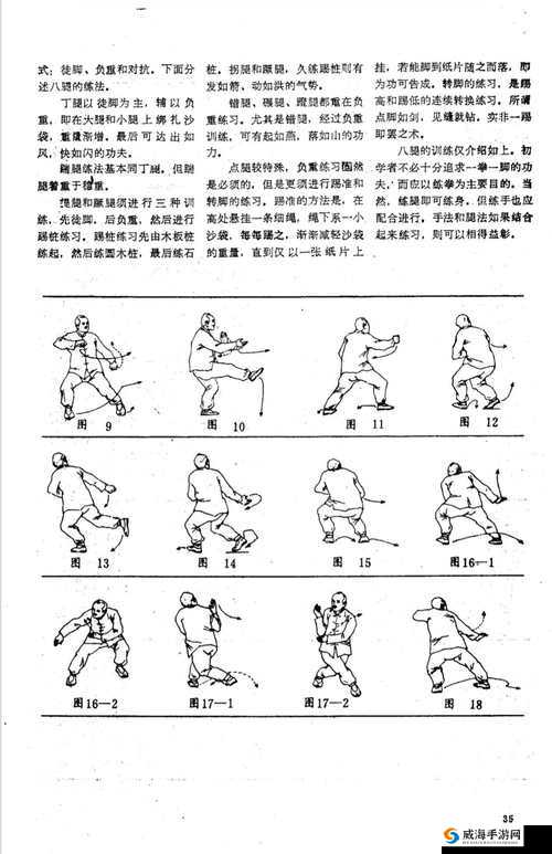 雷电腿法娴熟脚法实战视频解析：如何掌握高效踢击技巧与腿部力量训练