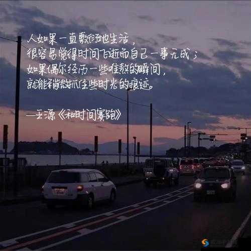 人如果一直敷衍地生活，很容易觉得时间飞逝而自己一事无成；如果偶尔经历一些难熬的瞬间，就能稍微抓住些时光的痕迹——这句话适合做吗？