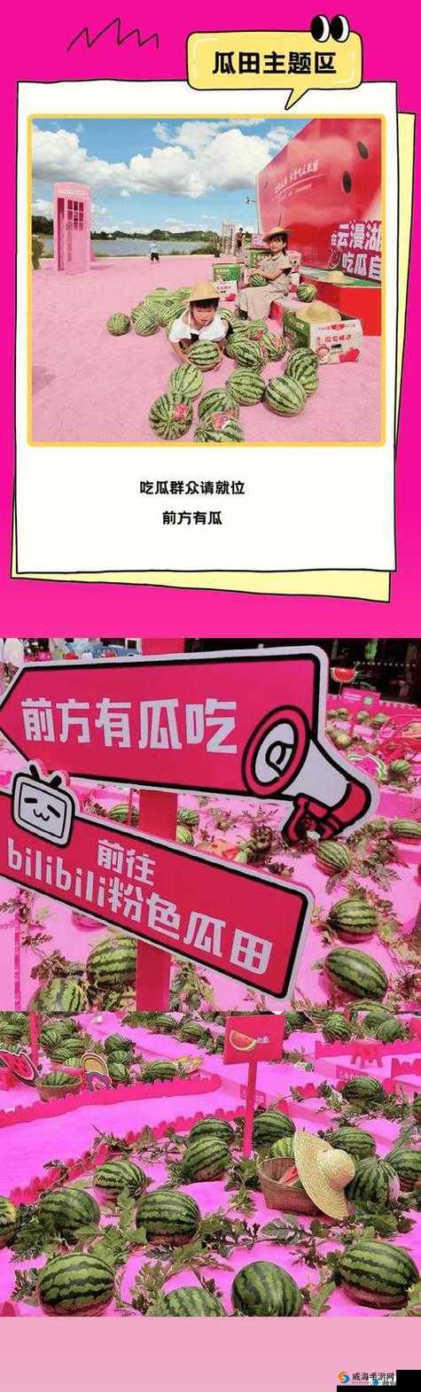 最新吃瓜爆料：免费观看下载安装，你想知道的都在这里