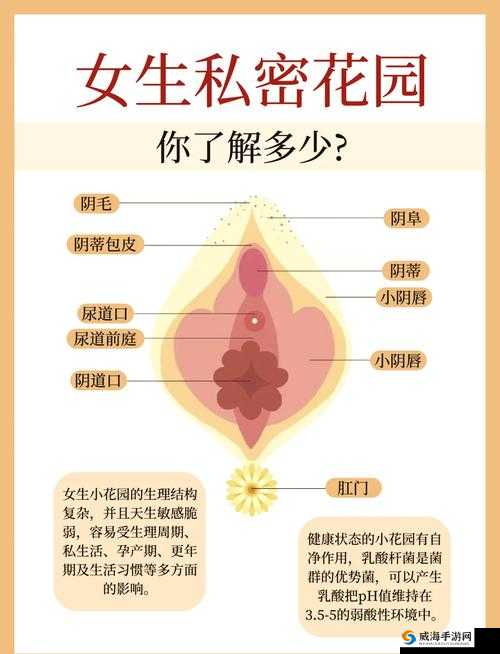 嫩玉缝是什么？探秘嫩玉缝背后的神秘之处与独特魅力或者：嫩玉缝为何如此引人关注？解读嫩玉缝的奇妙之处与价值