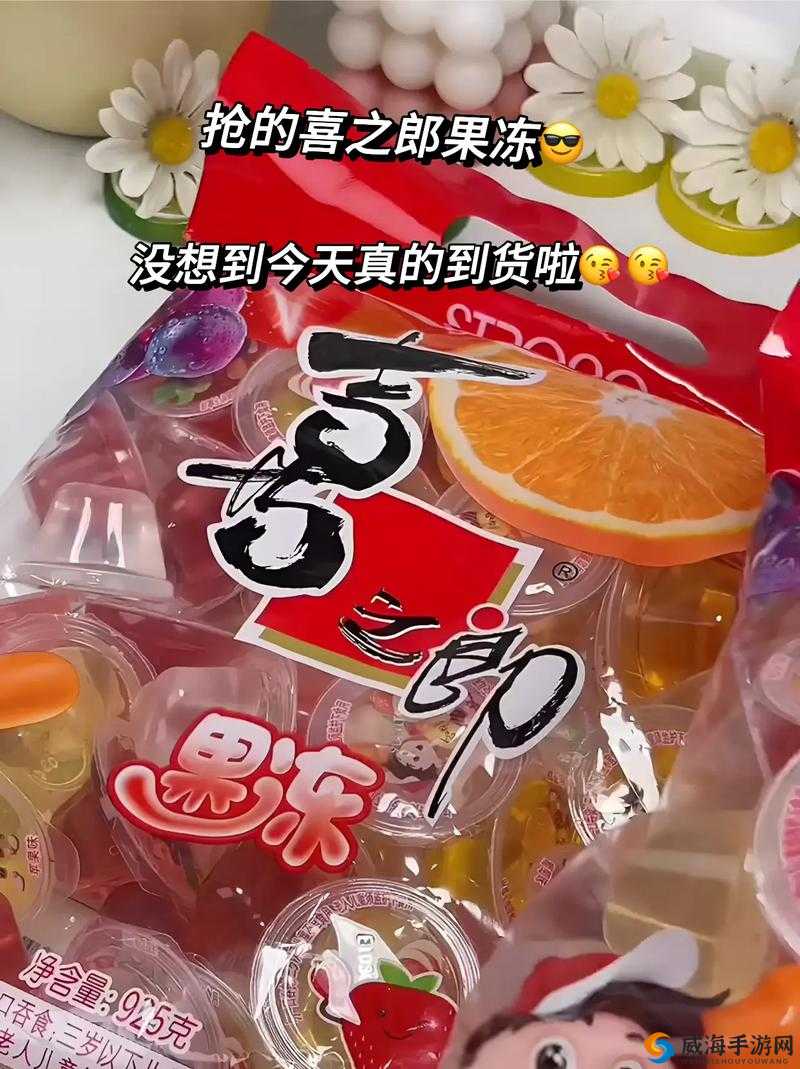 91果冻制片相关内容大揭秘：它究竟有着怎样的独特之处和影响力？