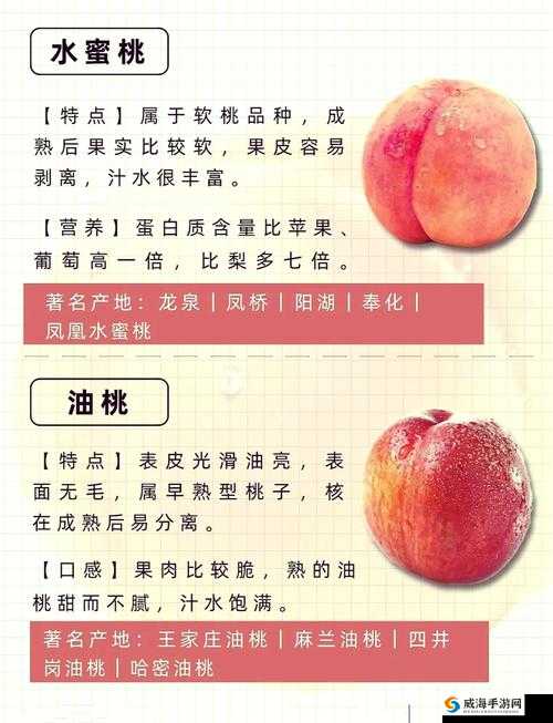 公厕卫生间桃子移植攻略：如何在有限空间内实现高效移植与养护技巧