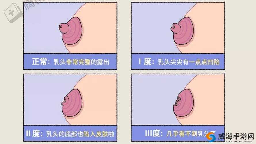 撕开奶罩吮奶头玩大胸：探索女性魅力的秘密与健康护理的深层意义