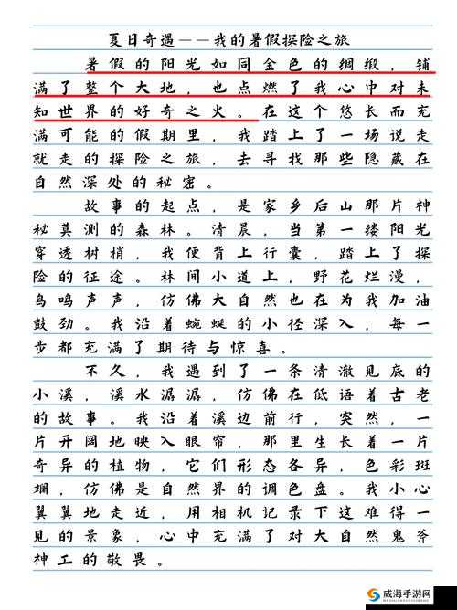假期中最难忘的瞬间：探索自然之美与心灵的宁静之旅