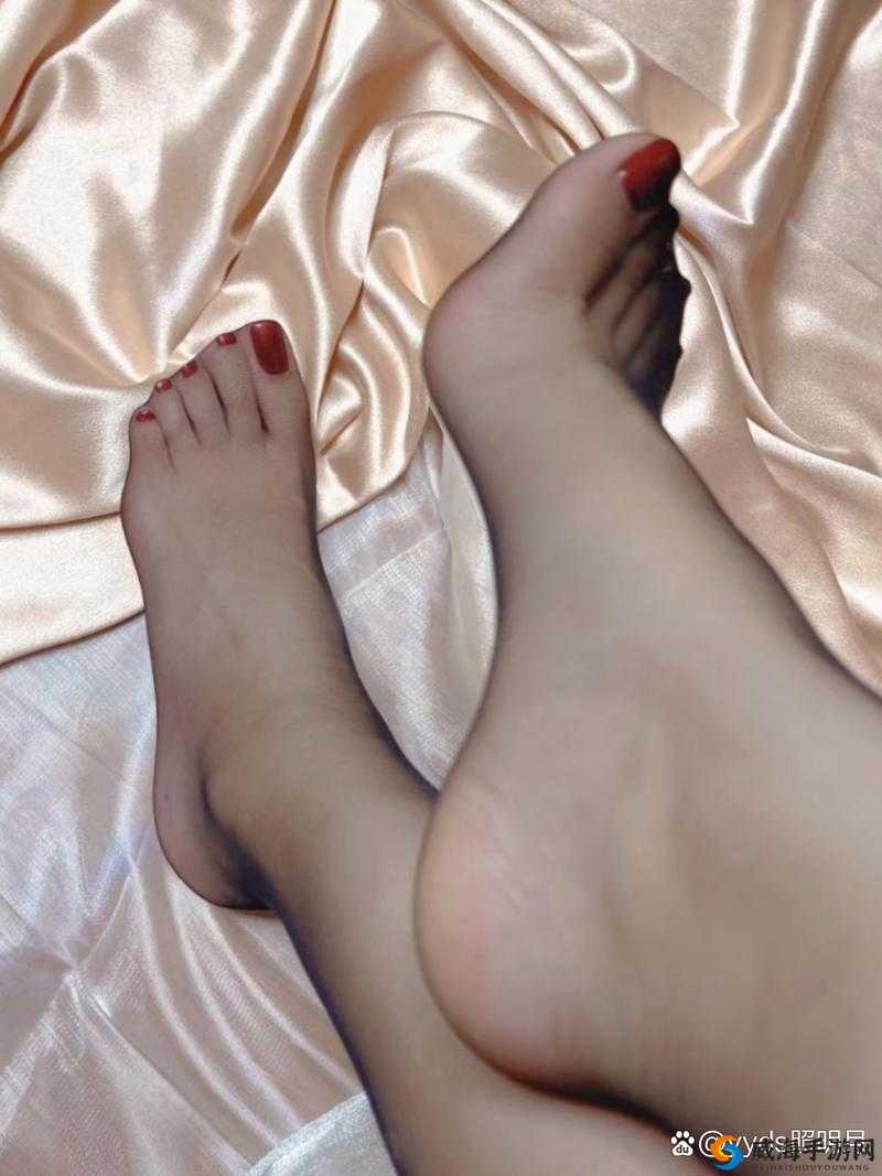 美足美脚美丝脚交，你了解多少？