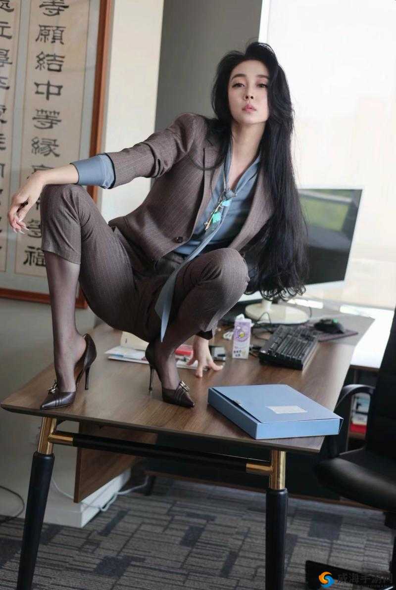 人妻秘书的秘密：OL 生活中的诱惑与挑战