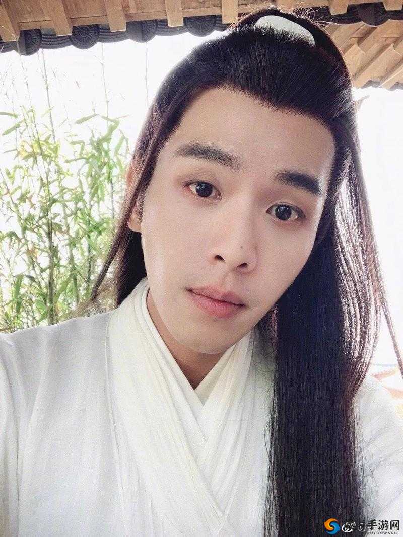 徐凤年如何在欧美世界中续写悍刀行的辉煌？