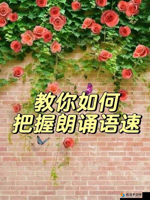 亲近相尾五十是什么意思？如何深入了解亲近相尾五十的内涵与特点？