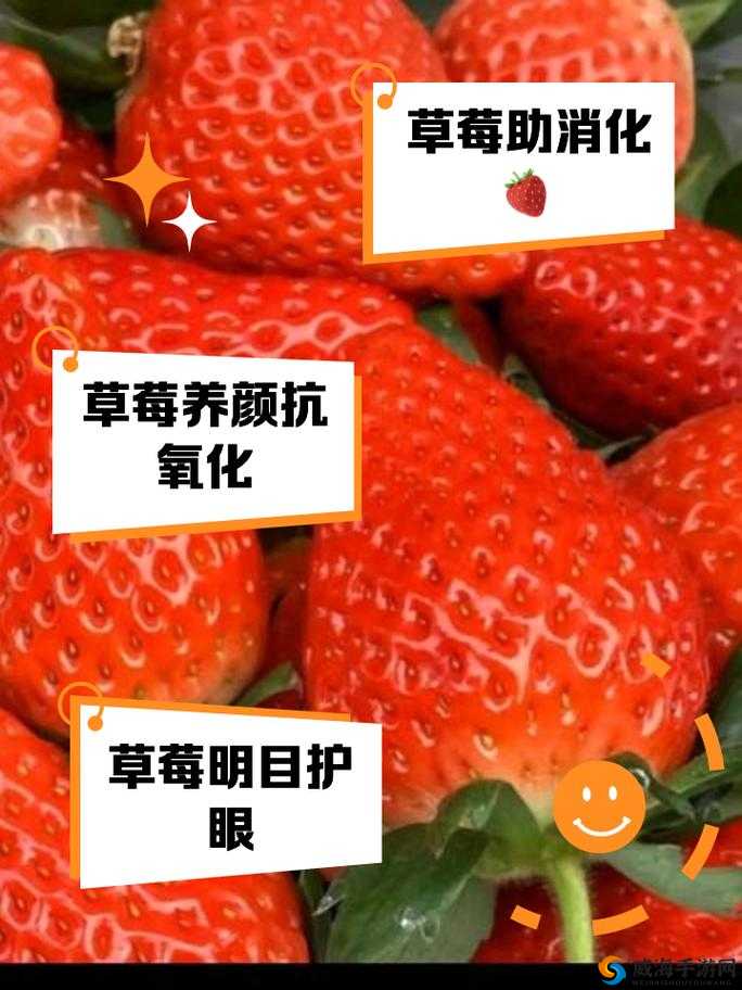 草莓视频旧版本有何特别之处？功能、内容详细解析等你来了解