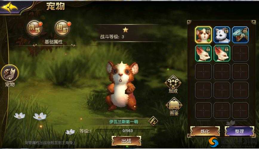 太极熊猫3升级攻略，新手如何快速升级及未来玩法革命预测