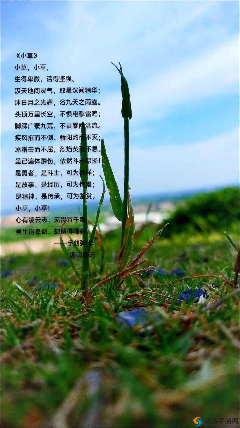 一起草，让你的创意如草般疯长
