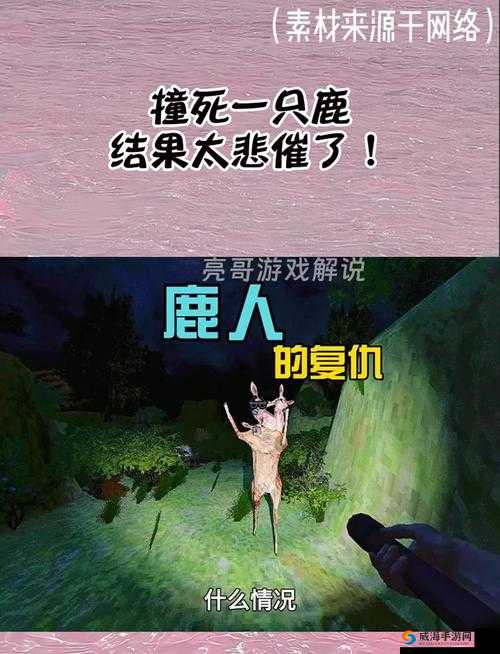 震惊遇见神鹿为何咬铁球还流眼泪？探秘这一奇特现象背后的原因