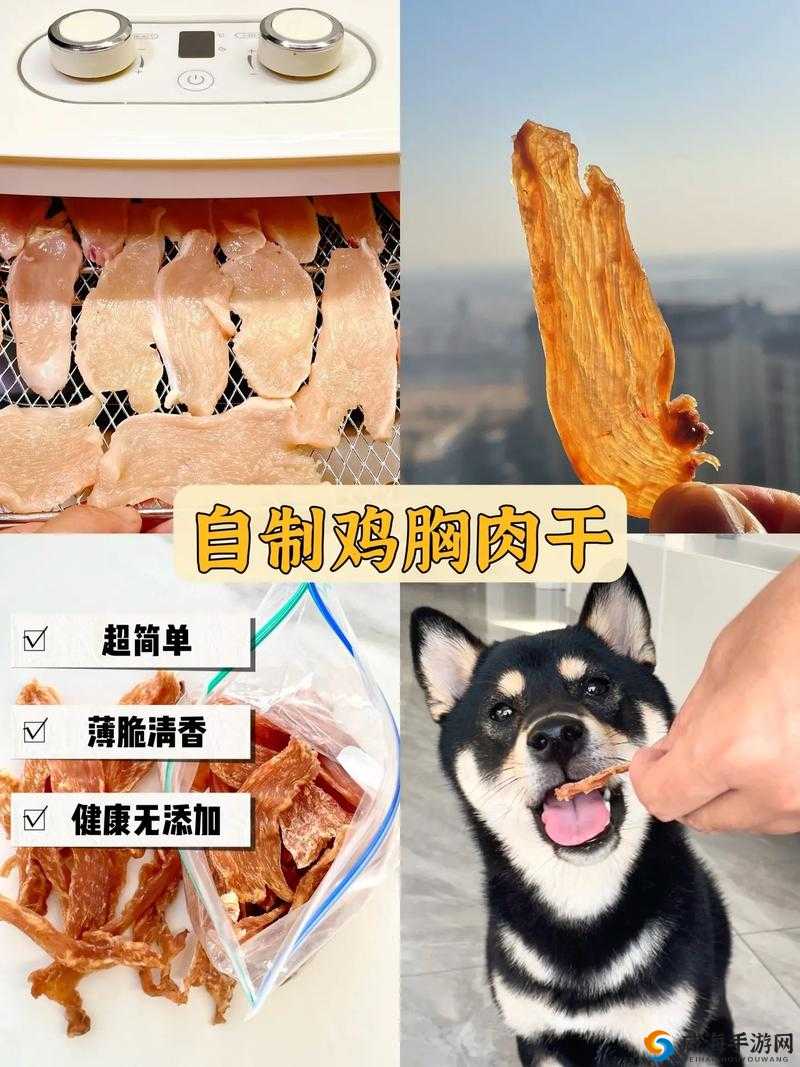 如何自制美味狗零食？狗狗爱吃的营养肉干做法大揭秘