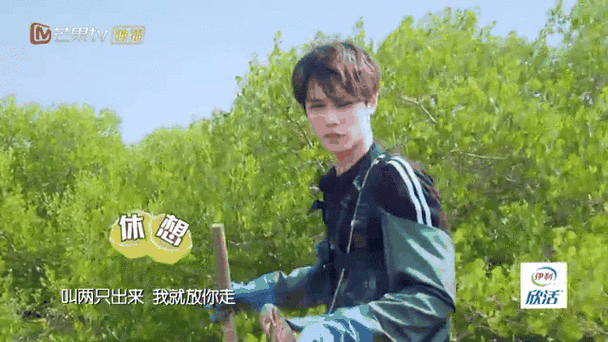 野生厨房2最新播放时间揭晓：观众期待的美食探险之旅何时开启？