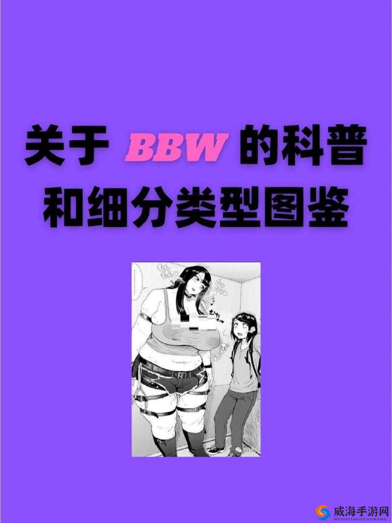 探索BBWBBWBBWBBW50的魅力：如何理解这一独特序列背后的意义与应用场景