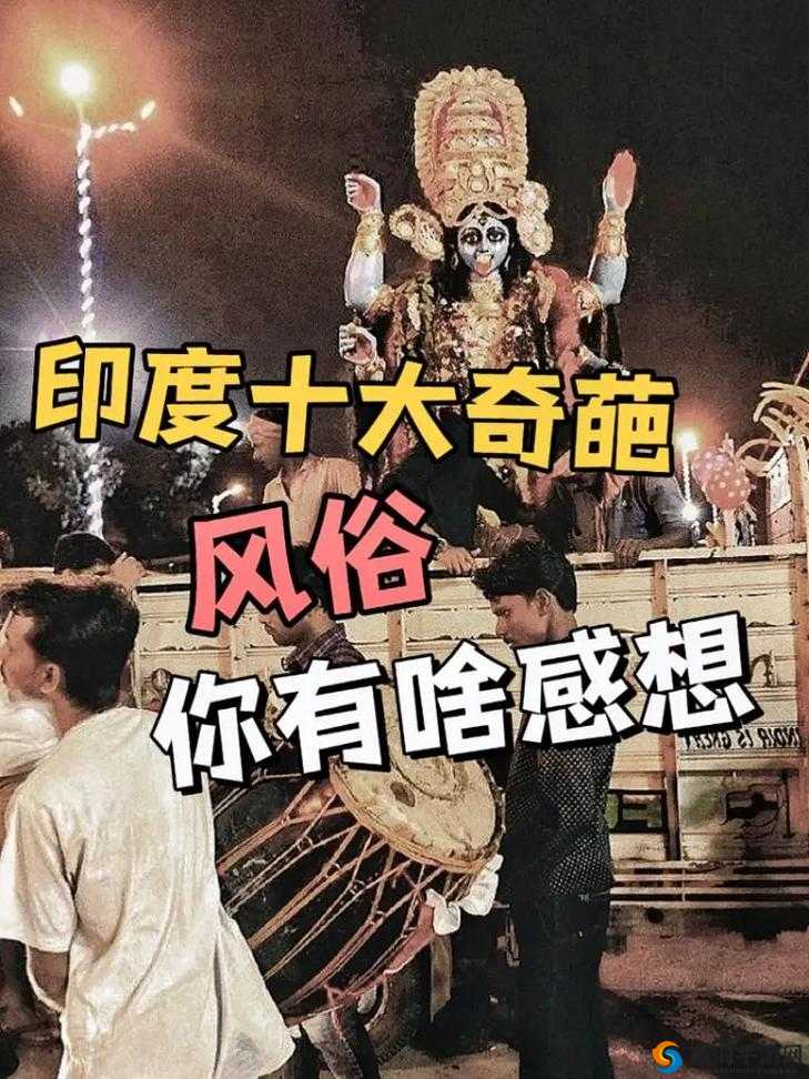 印度X乄㐅乄XX人乄的生活方式与文化传统：深入探讨其独特习俗与历史背景