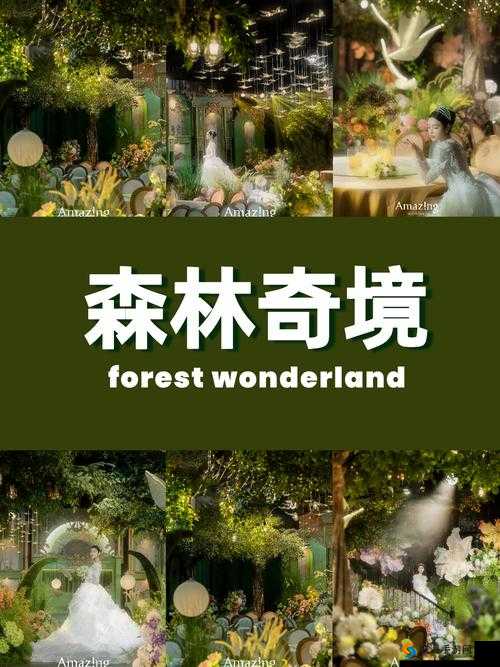 仙踪林入口欢迎你：探索神秘森林的奇幻之旅与自然美景的完美邂逅