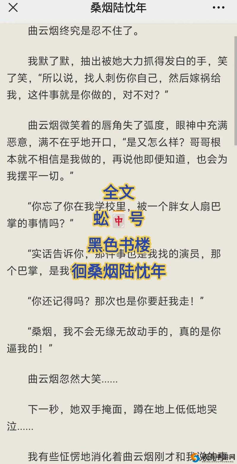 陆婷婷的故事小说精彩呈现，想知道她经历了怎样的传奇吗？快来阅读全文