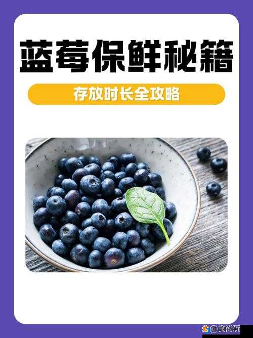 蓝莓视频在线观看下载全攻略，如何轻松找到并畅享蓝莓视频？