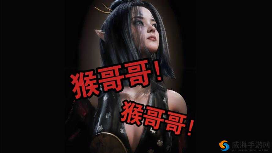 西游萌萌暴力猴英雄 成长路上的绝对核心