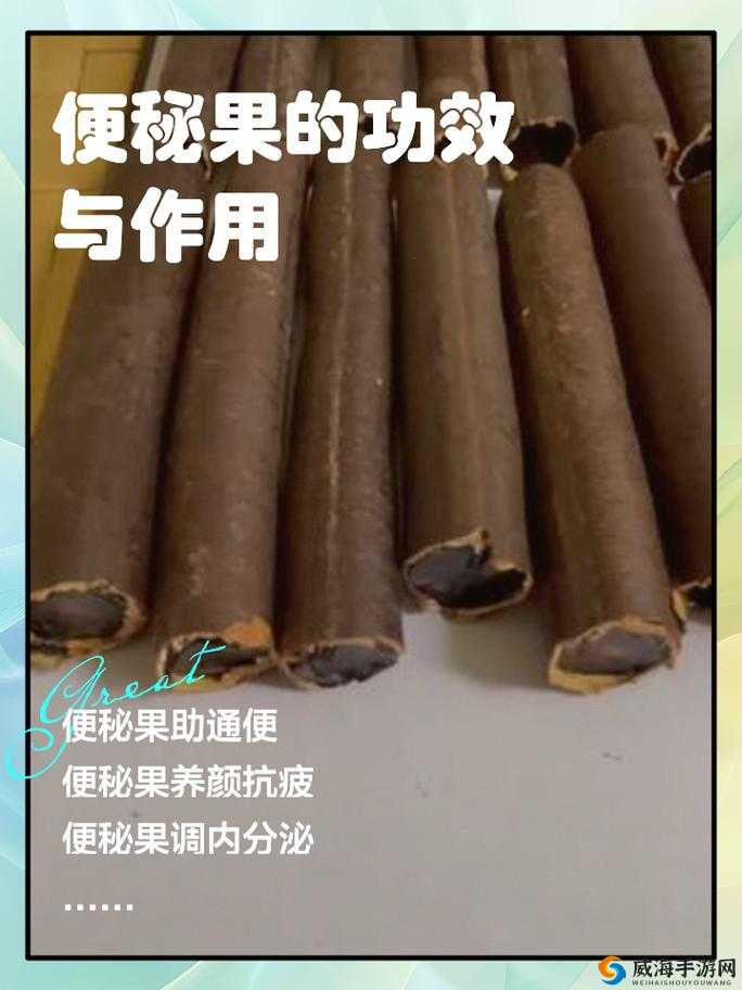 便秘果的正确服用方法图：详细步骤与注意事项，助你轻松解决便秘问题