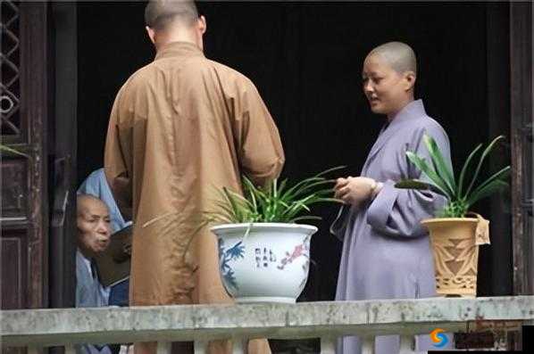 为什么越来越多的人选择当尼姑？尼姑的日常生活是怎样的？现代社会中尼姑的地位和作用是什么？