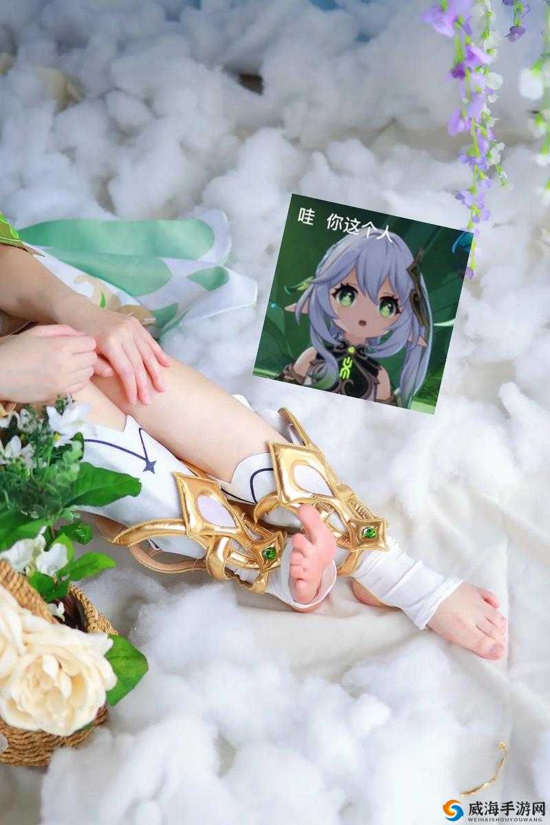 纳西·ちゃん脚法为何如此娴熟？其精湛技艺背后有何秘密？