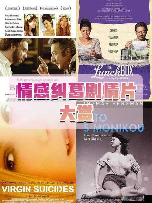 佳柔和医院长第2部：深入揭秘医疗背后的故事与情感纠葛
