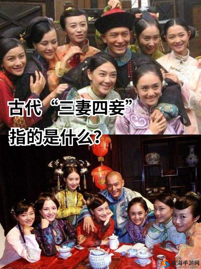 三妻四妾全集观看：古代婚姻制度与现代观念的碰撞与思考