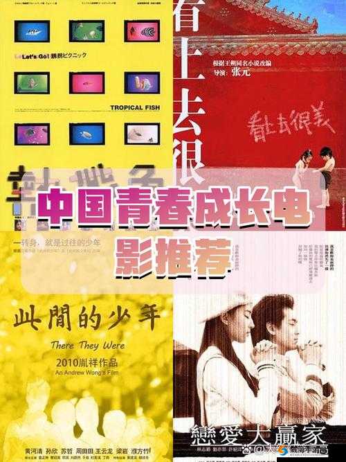 十九岁中国免费完整版高清在线观看：青春故事与成长历程的完美呈现