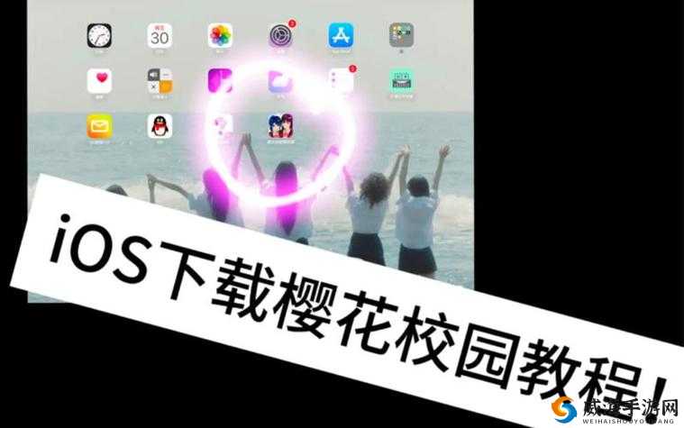 樱花官方正版官网入口苹果怎么找？快来这里获取详细指南