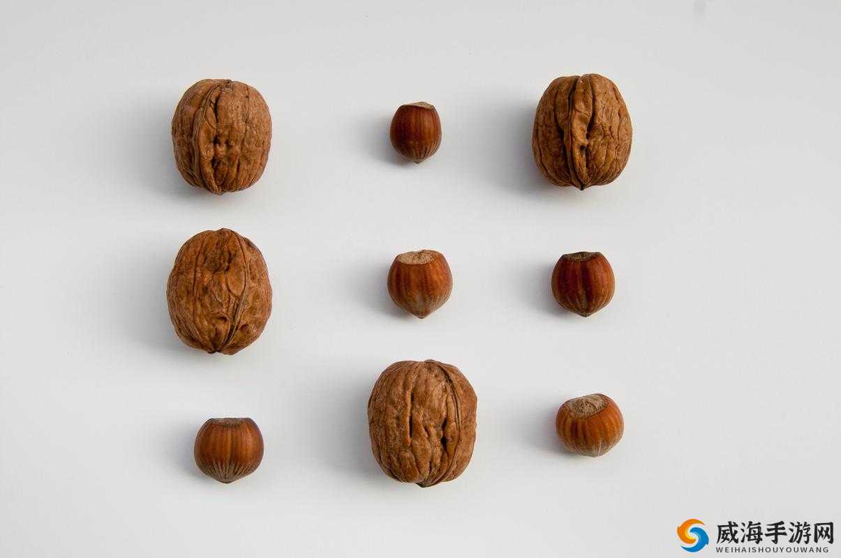 提问：胡桃和核桃究竟有哪些区别？一文带你详细了解二者差异