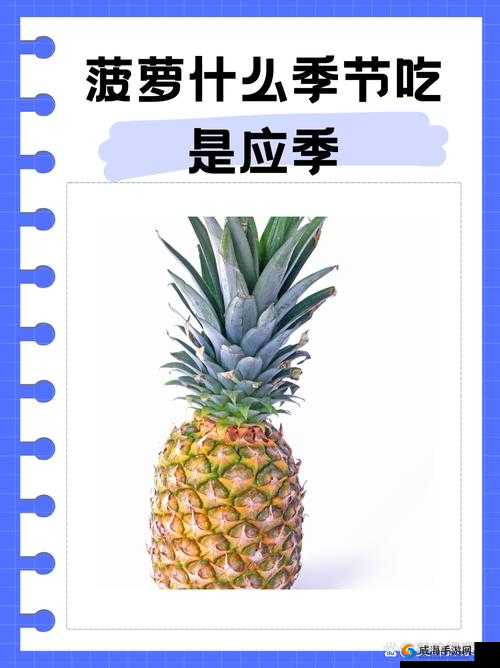 APP老司机都懂的大菠萝到底是什么？为何备受关注？快来一探究竟