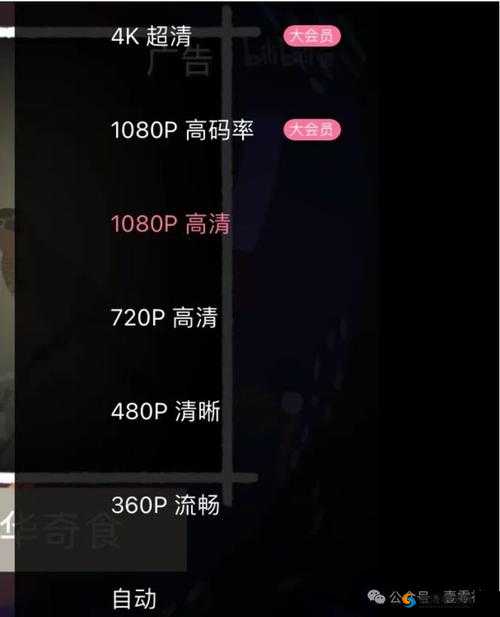 探索69XXXXHDVideos高清画质体验：最新热门视频推荐与观看指南
