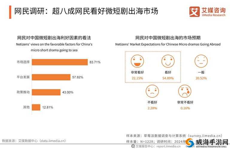 如何看待小众文化实践视频在网络上的流行？