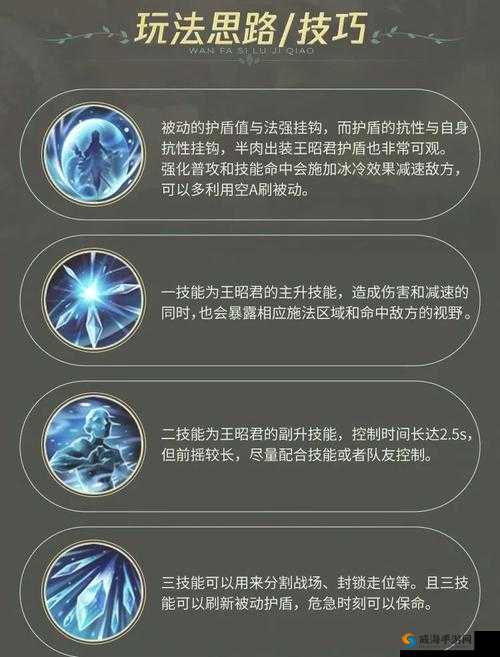 王昭君职业赛视频：顶尖选手如何运用技能连招与战术布局取得胜利