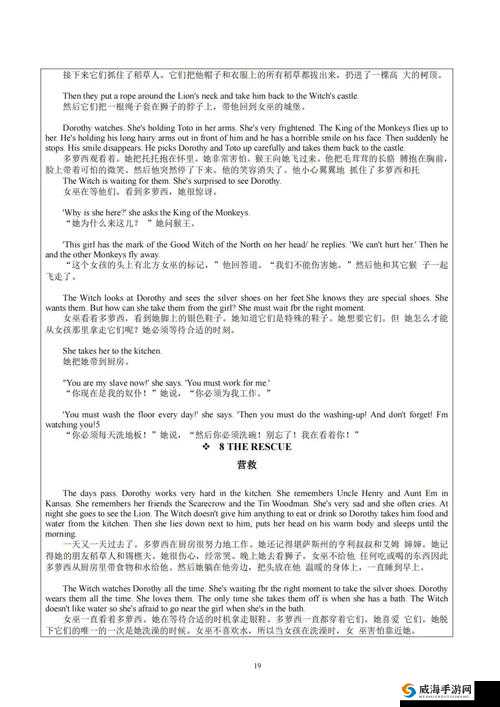 仙踪林 Company Limited 黑帅到底是什么？带你深入了解其背后的故事