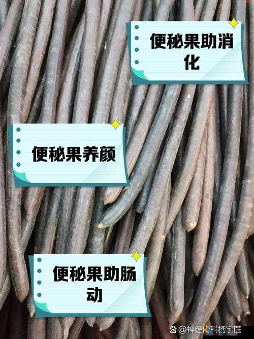 有一种治便秘的果冻叫什么？揭秘这款神奇果冻的功效与用户真实反馈