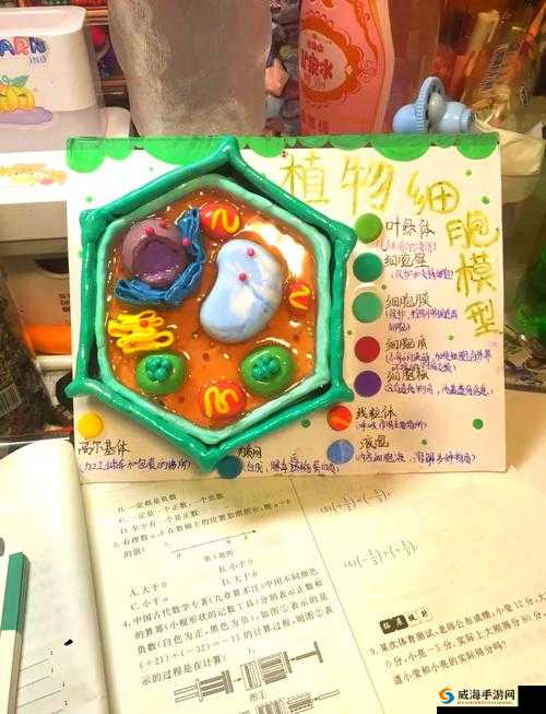 如何制作植物标本？小学生自制植物标本的方法和技巧
