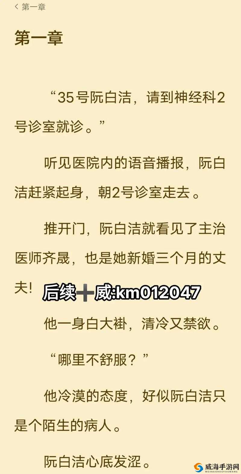 白洁高义篇燃文：深度解析人物情感与道德抉择的经典之作