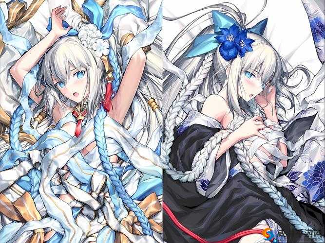 FGO对界宝具是什么，对界宝具介绍