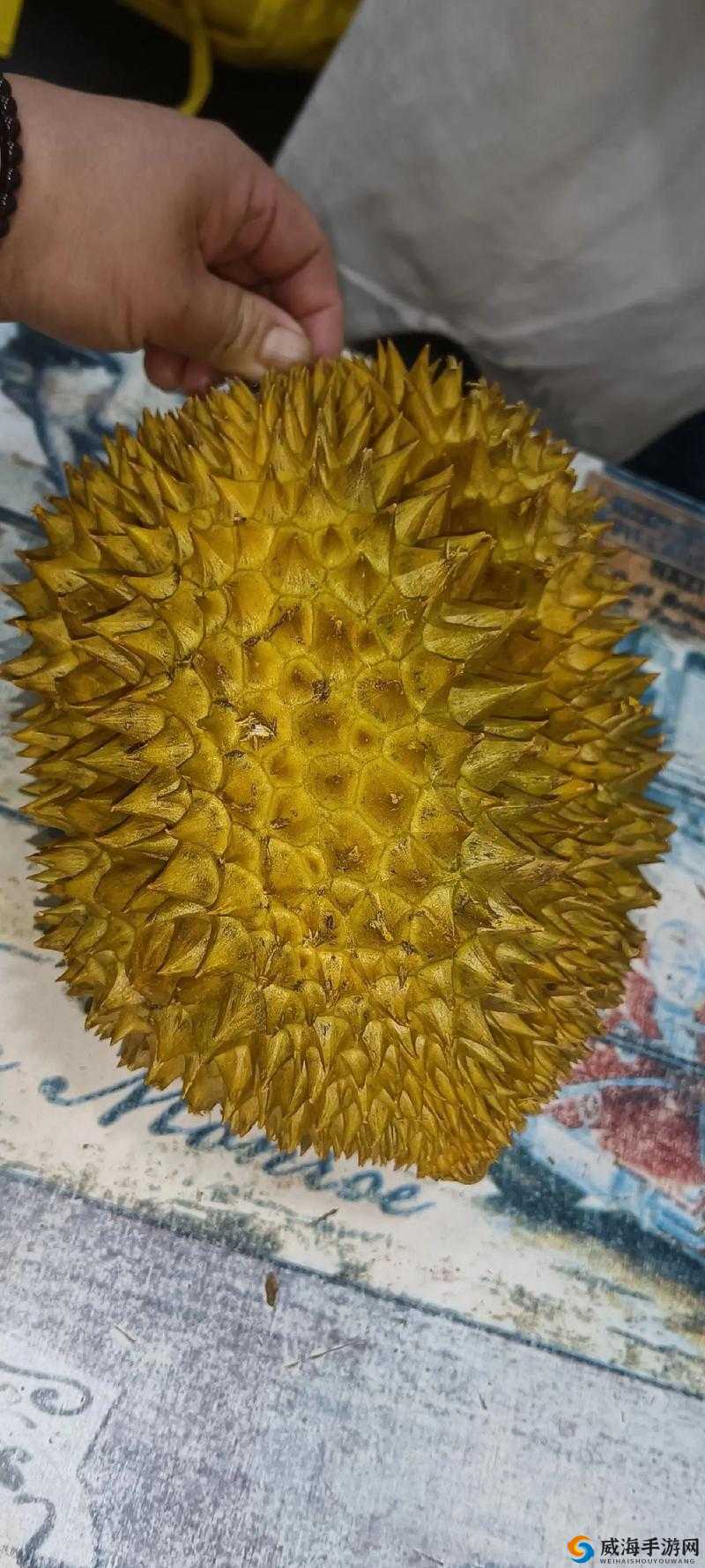 榴莲视频成年人版，在线观看体验刺激的视觉盛宴