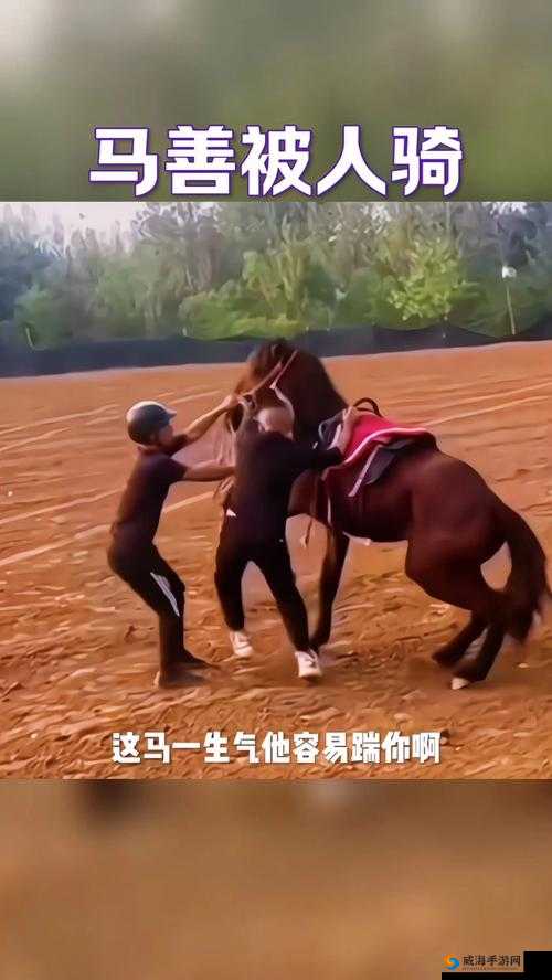 国外骑人马爬行引关注，这到底是怎样的奇特行为？为何会出现？