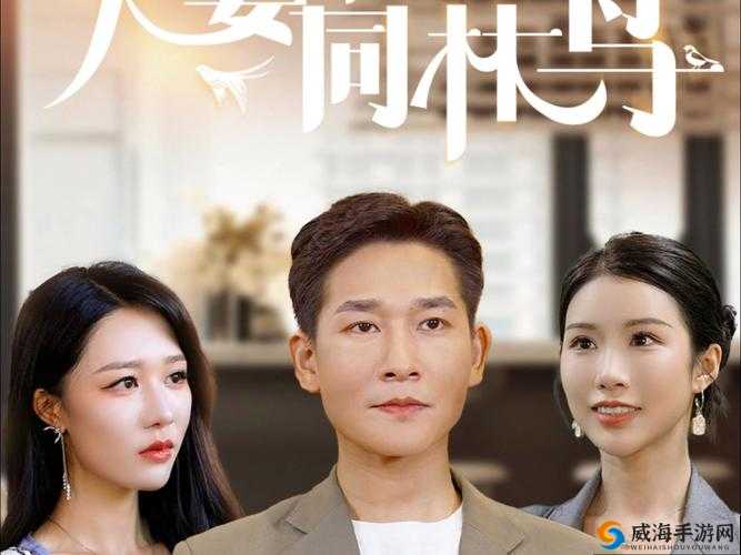 夫妻之间为何沉迷唏哩哔哩电视剧？背后原因大揭秘