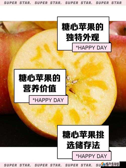 糖心是哪里的公司？揭秘糖心公司总部所在地及其业务范围